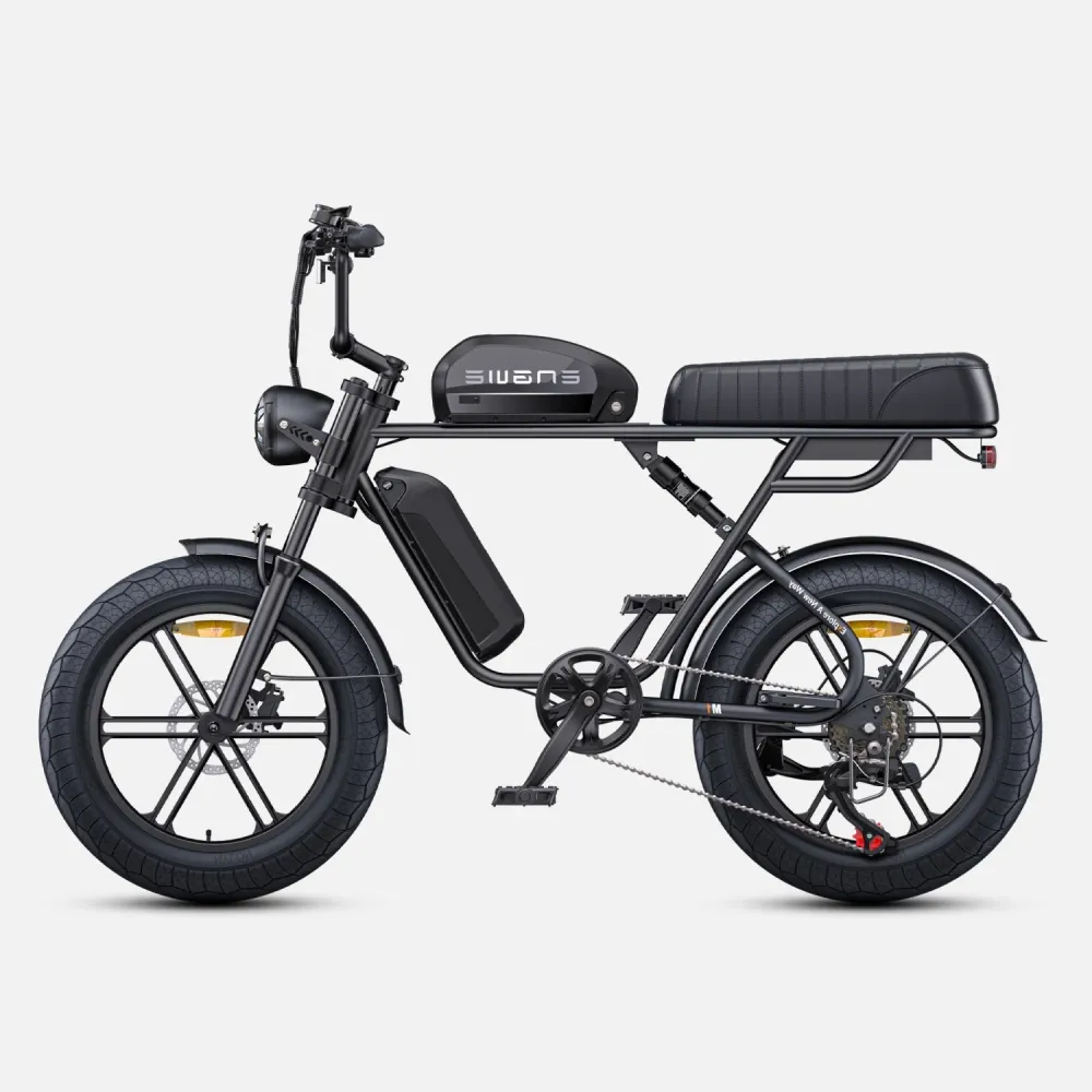 Vélo Électrique ENGWE M1 NL - Moteur 250W Batterie 48V28.6AH Pneus de 20 Pouces Frein à Disque Hydraulique Pommeau de Chan...