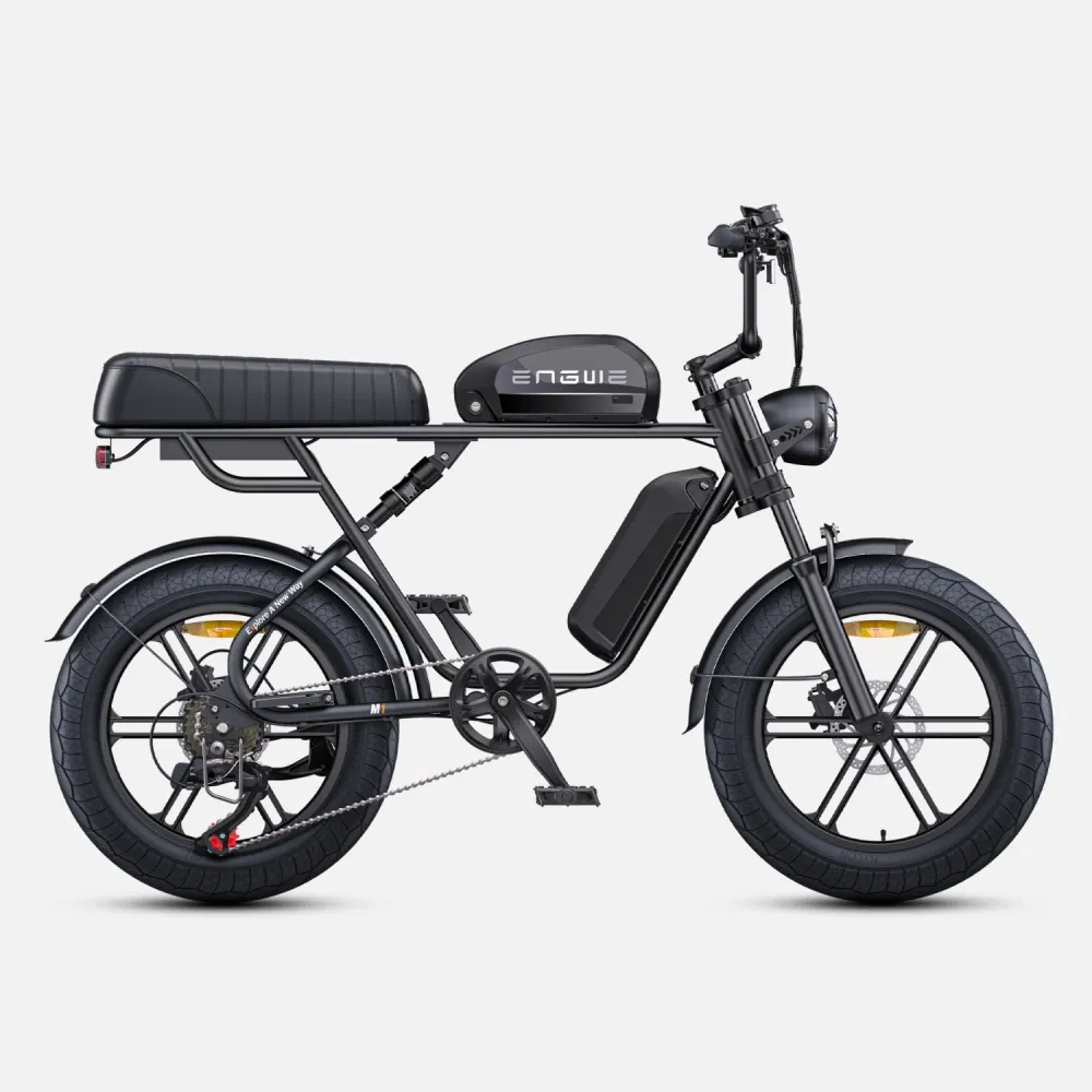 Vélo Électrique ENGWE M1 NL - Moteur 250W Batterie 48V28.6AH Pneus de 20 Pouces Frein à Disque Hydraulique Pommeau de Chan...