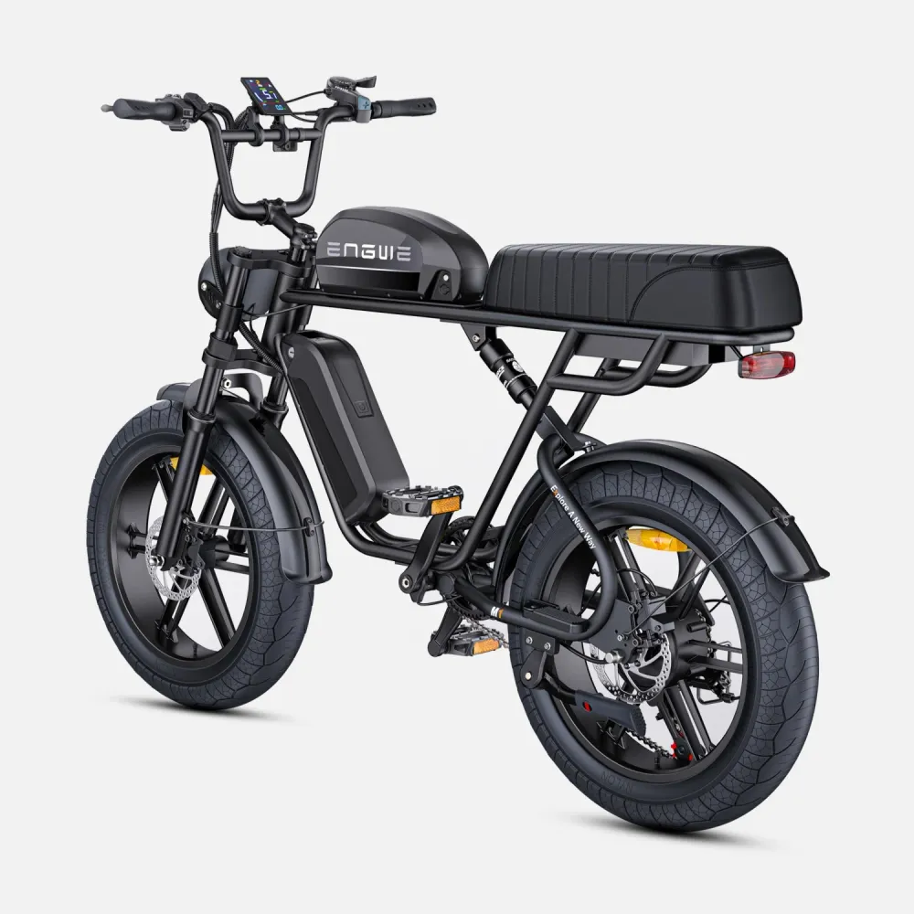 Vélo Électrique ENGWE M1 NL - Moteur 250W Batterie 48V28.6AH Pneus de 20 Pouces Frein à Disque Hydraulique Pommeau de Chan...