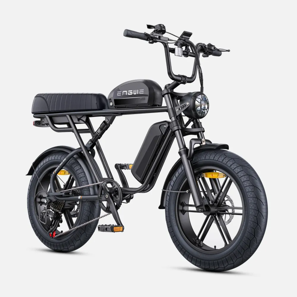 Vélo Électrique ENGWE M1 NL - Moteur 250W Batterie 48V28.6AH Pneus de 20 Pouces Frein à Disque Hydraulique Pommeau de Chan...