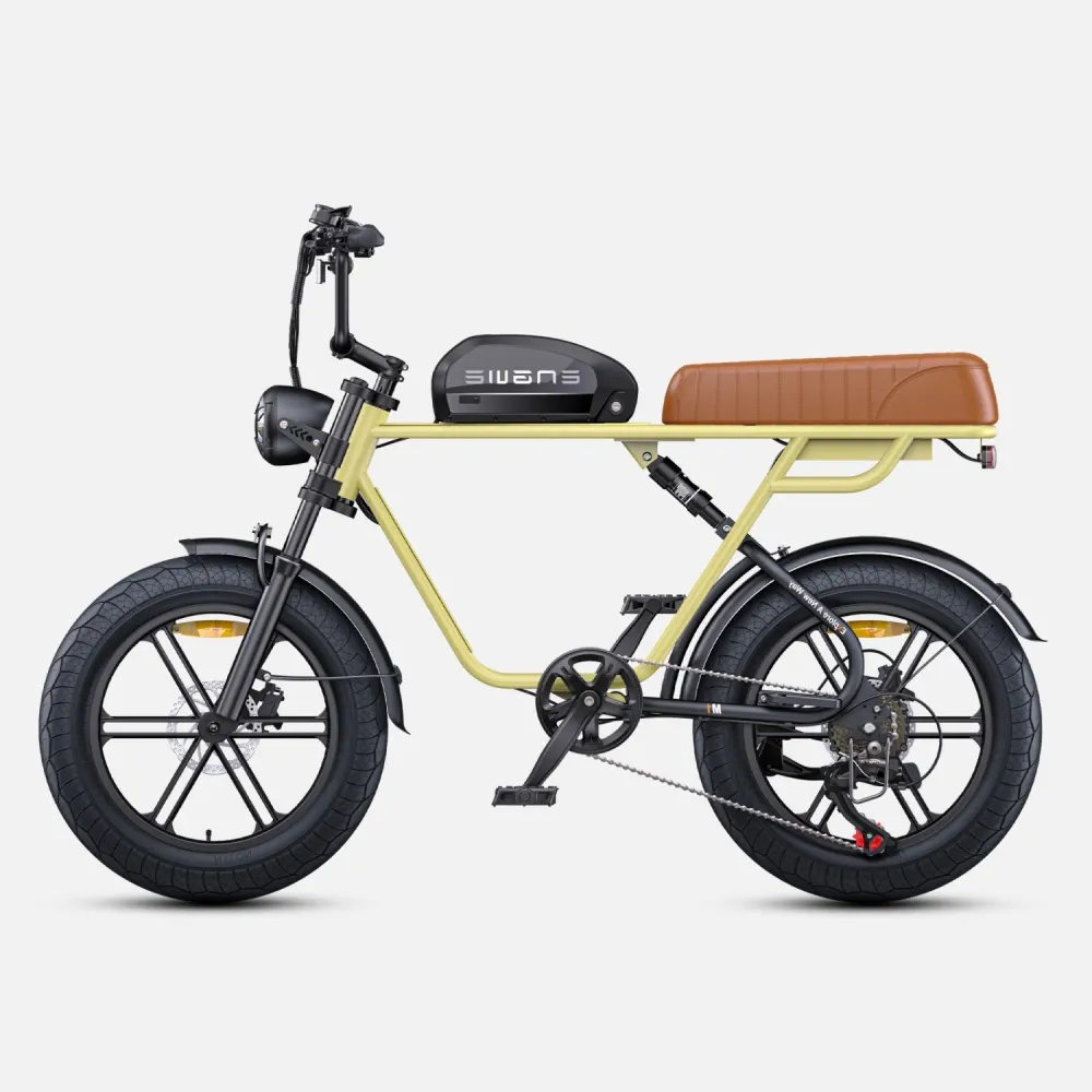 Vélo Électrique ENGWE M1 NL - Moteur 250W Batterie 48V15.6AH Pneus de 20 Pouces Frein à Disque Hydraulique Pommeau de Chan...