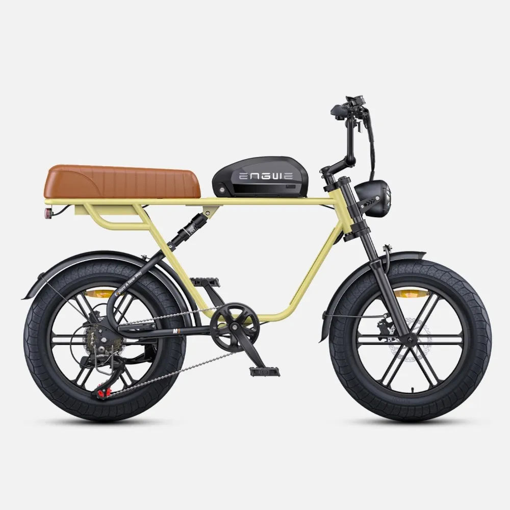 Vélo Électrique ENGWE M1 NL - Moteur 250W Batterie 48V15.6AH Pneus de 20 Pouces Frein à Disque Hydraulique Pommeau de Chan...