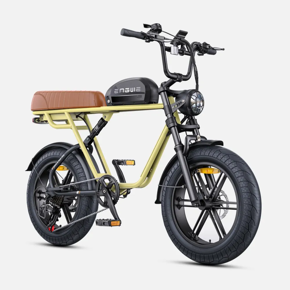 Vélo Électrique ENGWE M1 NL - Moteur 250W Batterie 48V15.6AH Pneus de 20 Pouces Frein à Disque Hydraulique Pommeau de Chan...