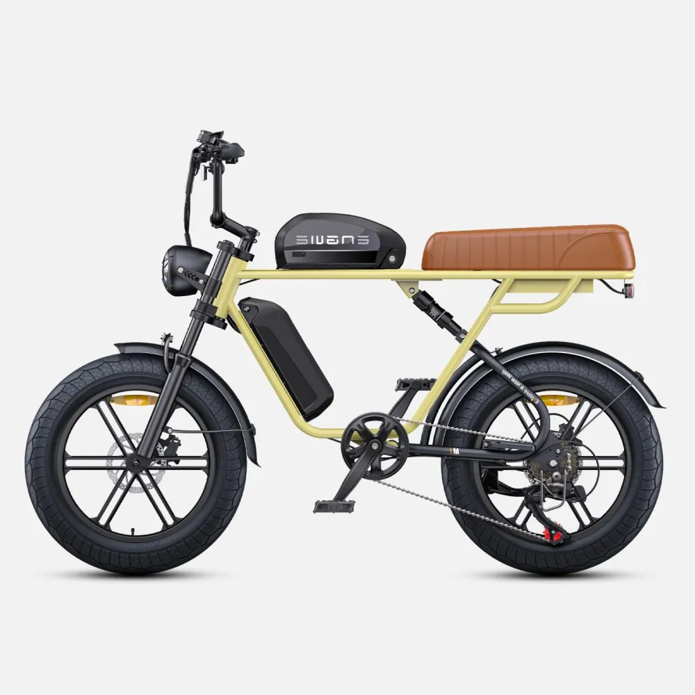 Vélo Électrique ENGWE M1 NL - Moteur 250W Batterie 48V28.6AH Pneus de 20 Pouces Frein à Disque Hydraulique Pommeau de Chan...