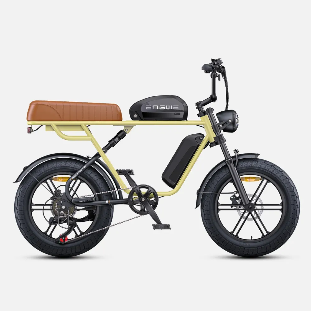 Vélo Électrique ENGWE M1 NL - Moteur 250W Batterie 48V28.6AH Pneus de 20 Pouces Frein à Disque Hydraulique Pommeau de Chan...