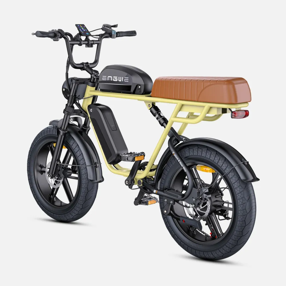 Vélo Électrique ENGWE M1 NL - Moteur 250W Batterie 48V28.6AH Pneus de 20 Pouces Frein à Disque Hydraulique Pommeau de Chan...