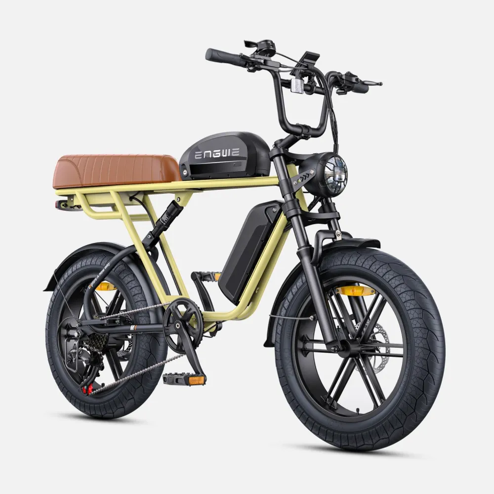 Vélo Électrique ENGWE M1 NL - Moteur 250W Batterie 48V28.6AH Pneus de 20 Pouces Frein à Disque Hydraulique Pommeau de Chan...