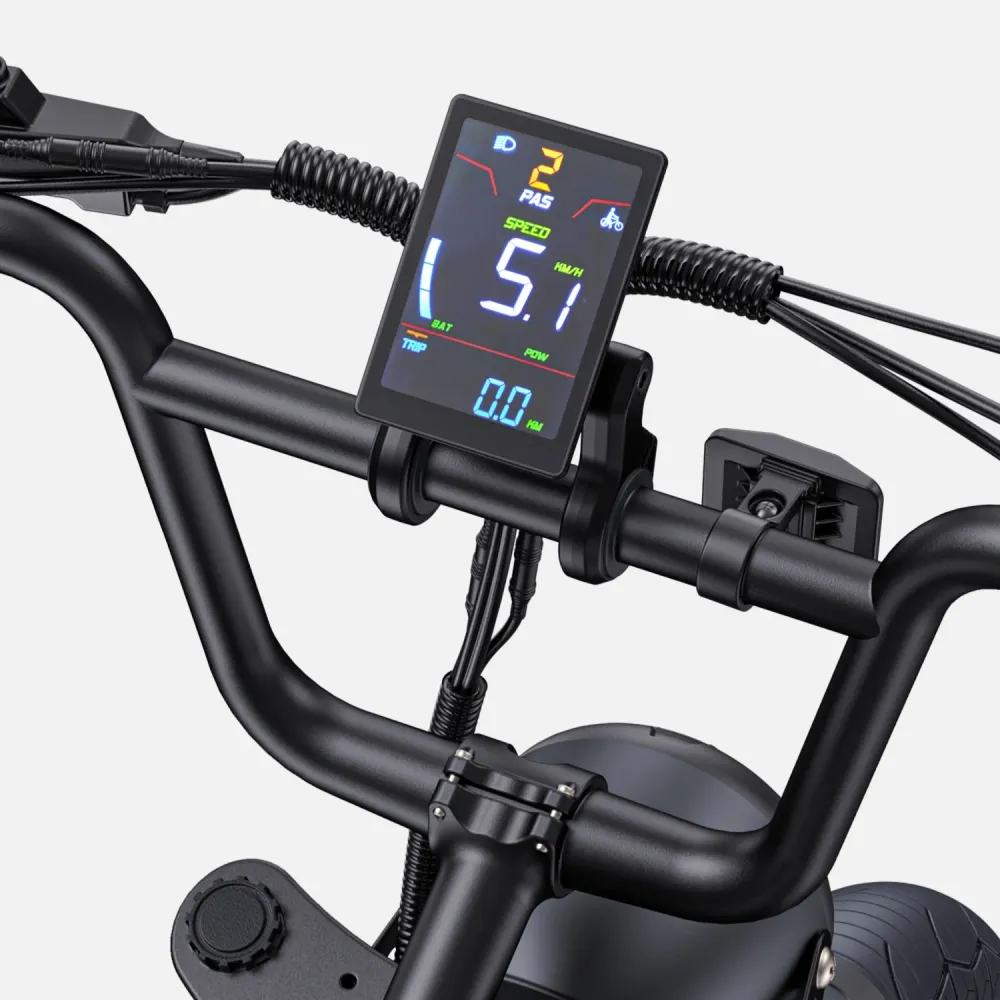 Vélo Électrique ENGWE M1 NL - Moteur 250W Batterie 48V28.6AH Pneus de 20 Pouces Frein à Disque Hydraulique Pommeau de Chan...