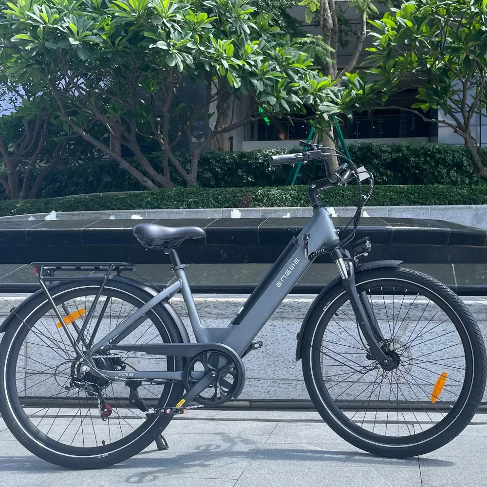 Vélo Électrique ENGWE P275 SE - 250W Moteur Batterie 468Wh Pneus 27.5" Pouces freins à disque - Gris