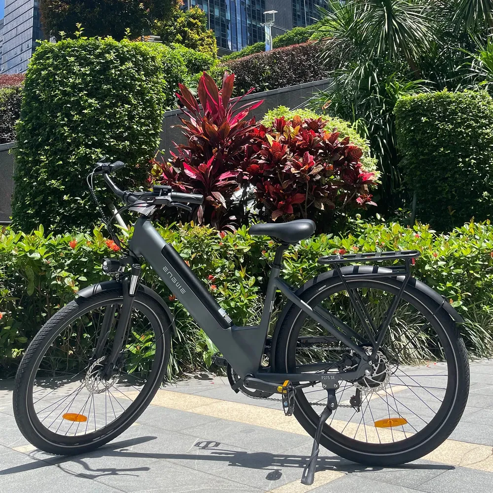 Vélo Électrique ENGWE P275 SE - 250W Moteur Batterie 468Wh Pneus 27.5" Pouces freins à disque - Gris