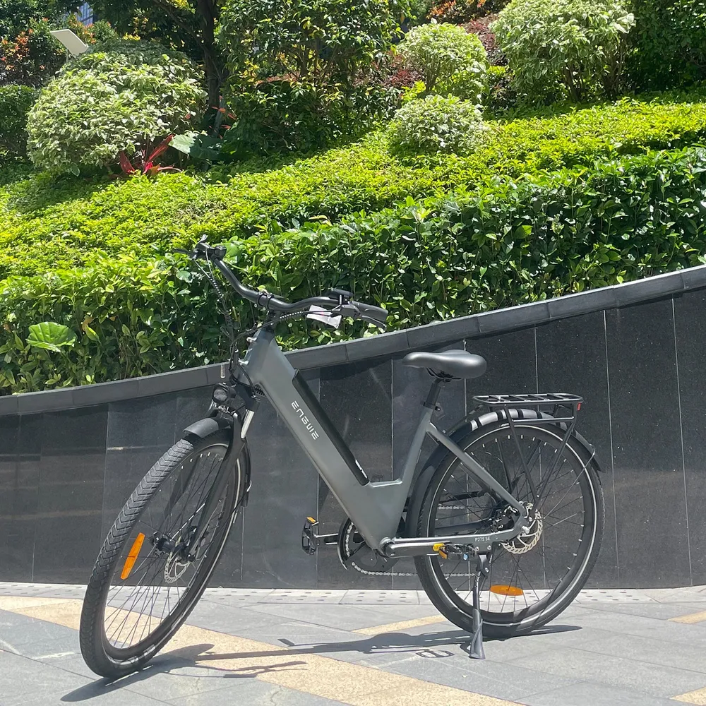 Vélo Électrique ENGWE P275 SE - 250W Moteur Batterie 468Wh Pneus 27.5" Pouces freins à disque - Gris