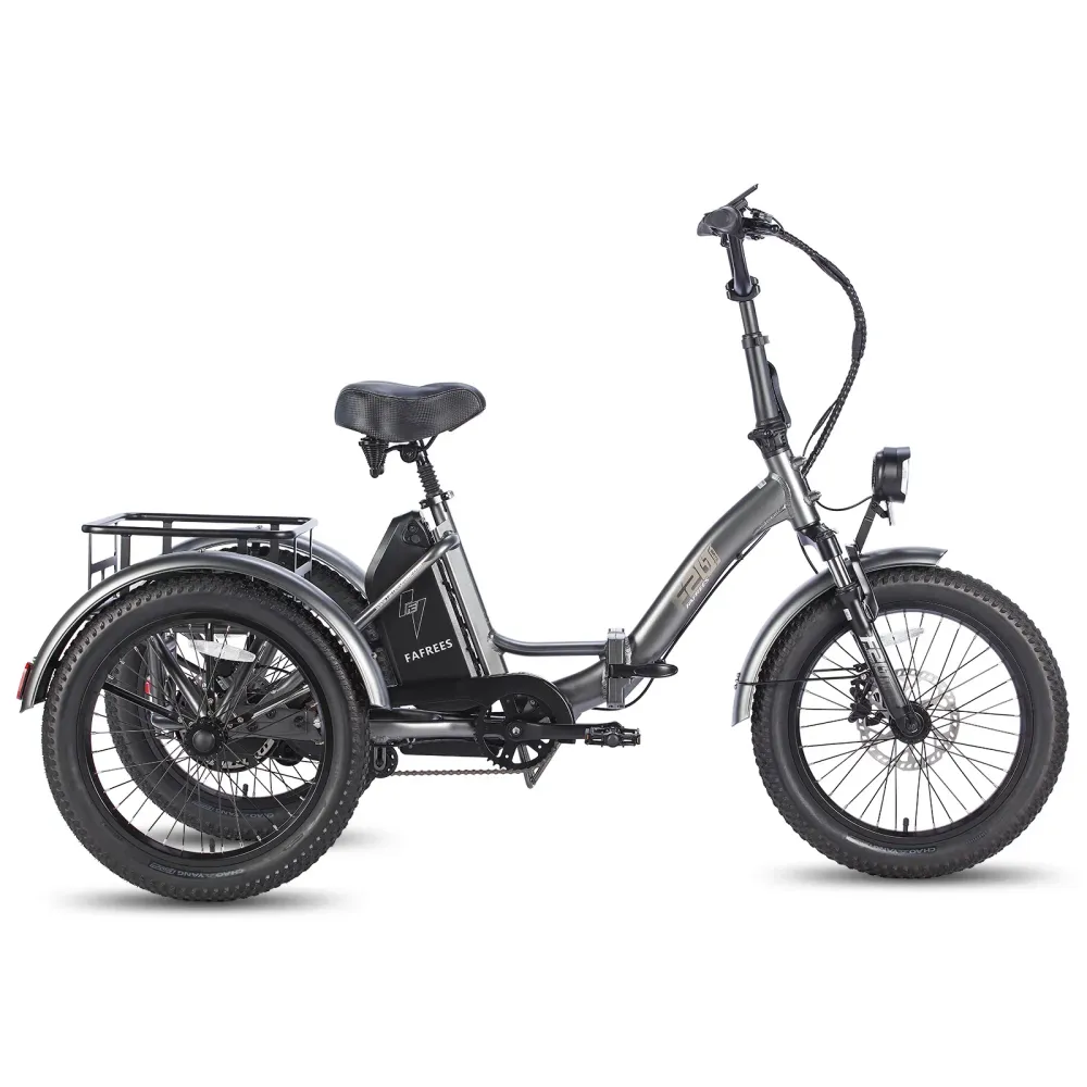 FAFREES F20 Mate Vélo Électrique - Moteur 500W Batterie 48V18.2AH Assisted Autonomie 110KM Freins Hydrauliques - Gris