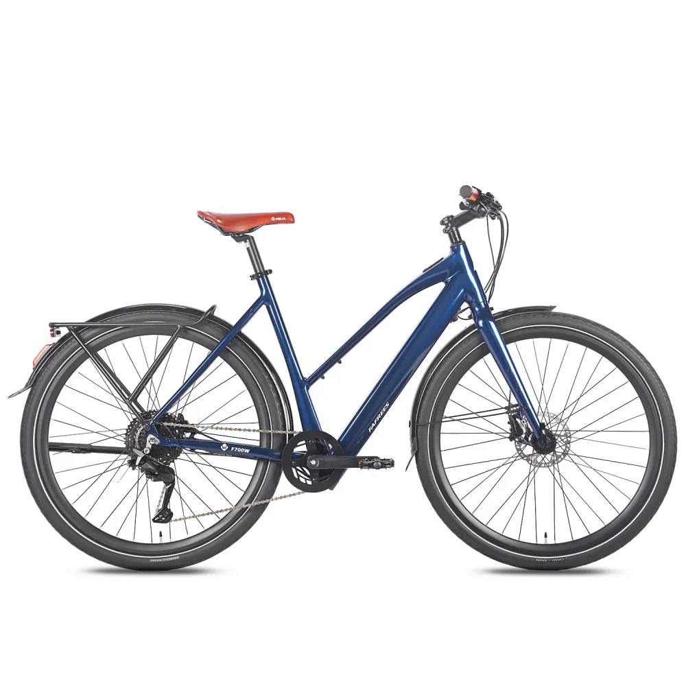 FAFREES F700W Vélo Électrique - Moteur 250W Batterie 36V10AH Freins Hydrauliques Cadre Aluminium - Bleu