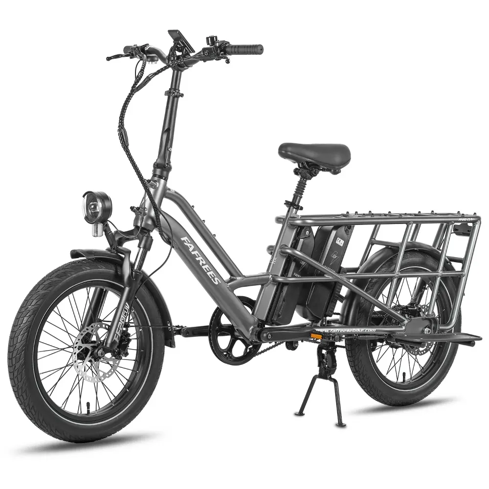 FAFREES FF20 CUV Vélo Électrique - Moteur 250W Batterie 48V24Ah 20 Pouces Pneus Freins à Disque Hydrauliques - Gris Bronze