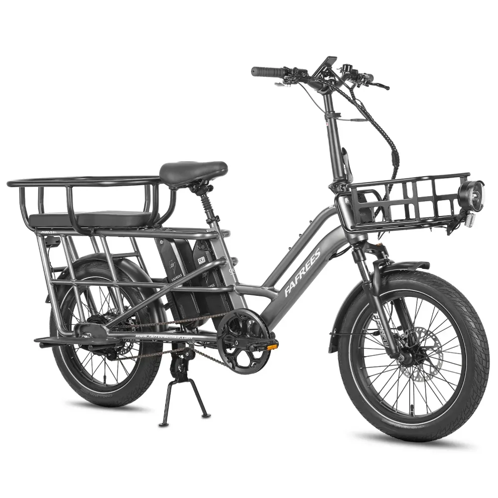 FAFREES FF20 CUV Vélo Électrique - Moteur 250W Batterie 48V24Ah 20 Pouces Pneus Freins à Disque Hydrauliques - Gris Bronze