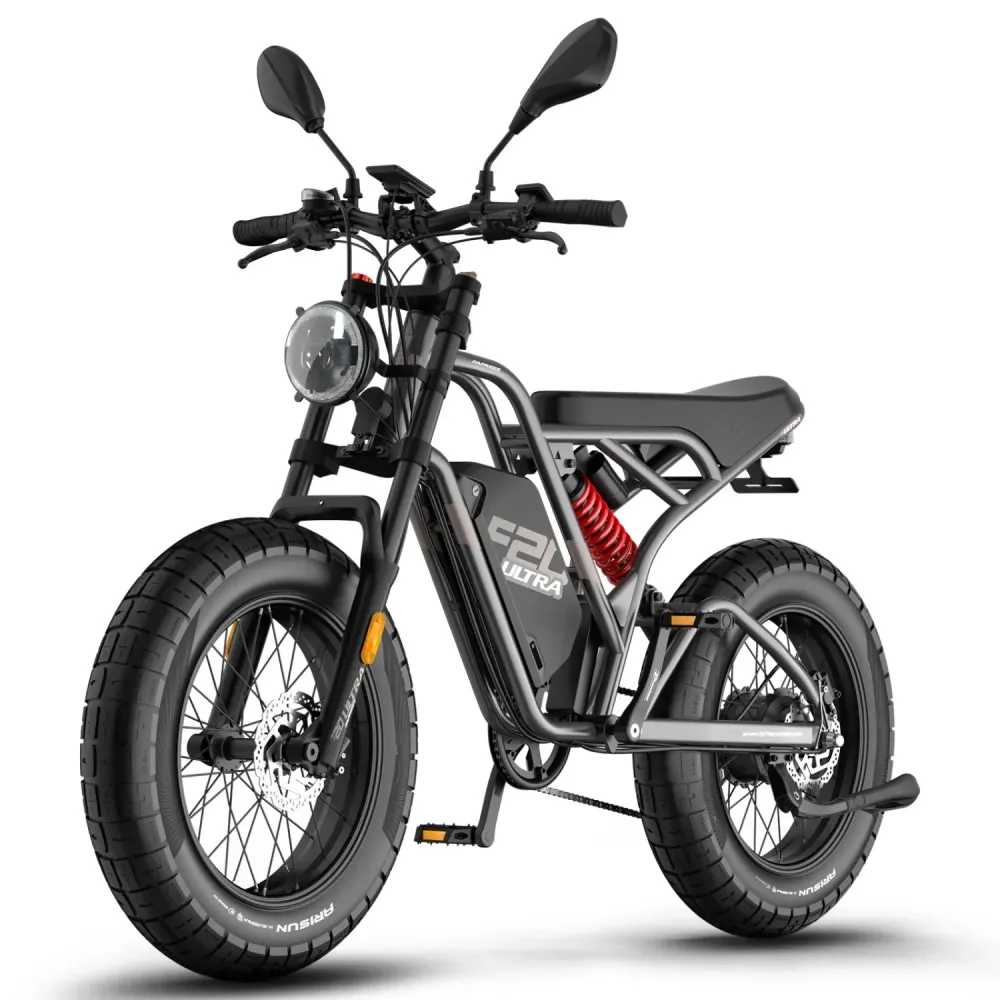 Vélo électrique FAFREES F20 Ultra (Homologation UE L1e-B) - Moteur 750 W batterie 48V25Ah pneu large 20 pouces Freins hydr...