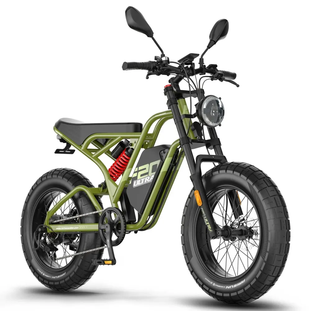 Vélo électrique FAFREES F20 Ultra (Homologation UE L1e-B) - Moteur 750 W batterie 48V25Ah pneu large 20 pouces Freins hydr...