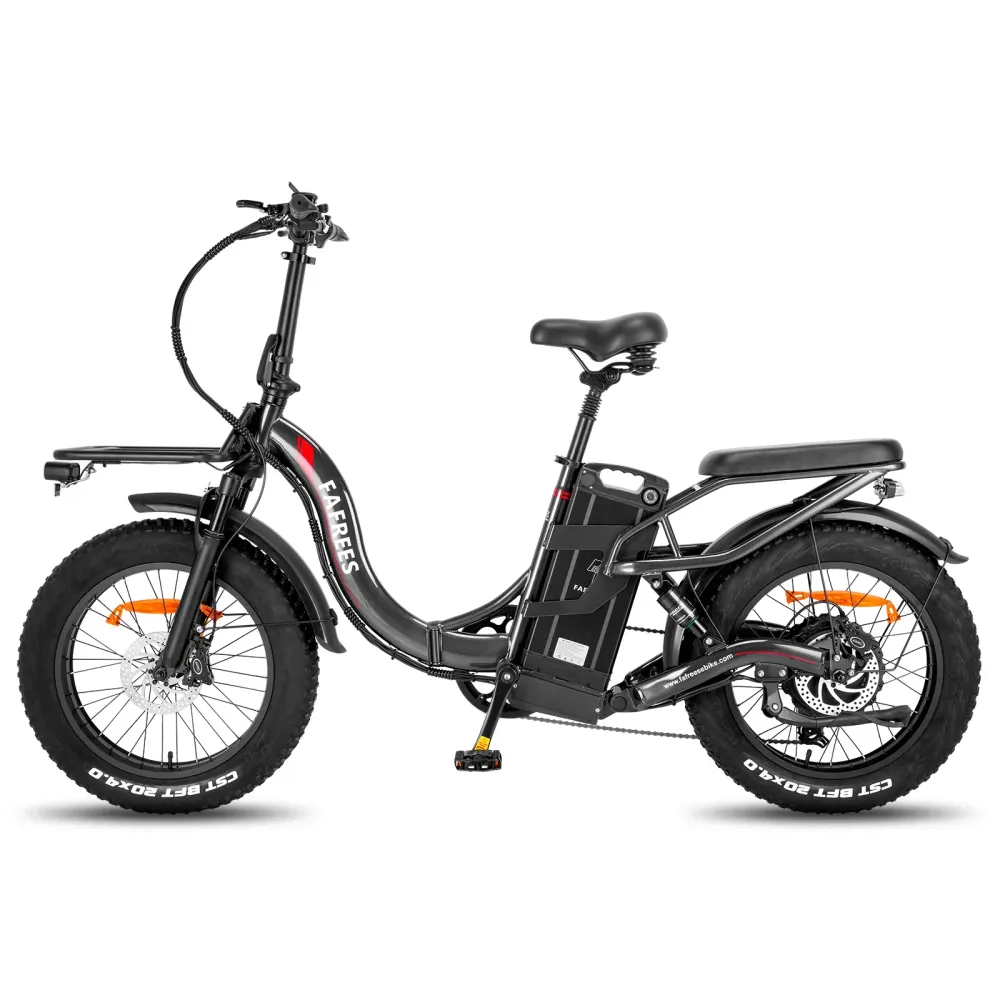 Vélo électrique FAFREES F20 X-MAX - Moteur 750W Batterie 48V30AH Assisted Autonomie 180KM Frein à Disque Hydraulique - Gris