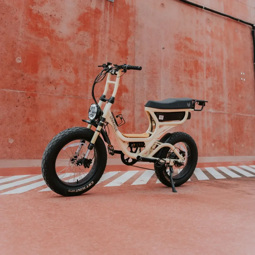 Fat Street Xtrail - Vélo électrique biplace Unikride