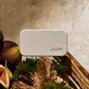 Figuier <tc>Désodorisant en pierre pour la voiture</tc> Recharge