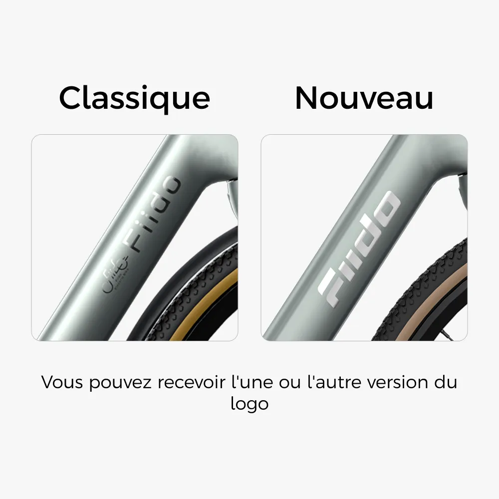 Fiido Air Vélo Électrique Ultraléger en Fibre de Carbon fiido.fr