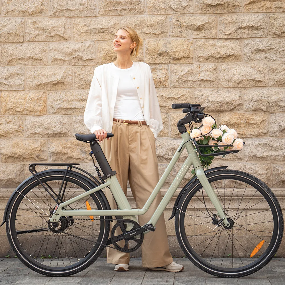 Fiido C700 Vélo Électrique Urbain fiido.fr