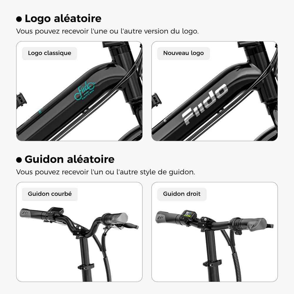 Fiido D3 Pro Mini Vélo électrique fiido.fr