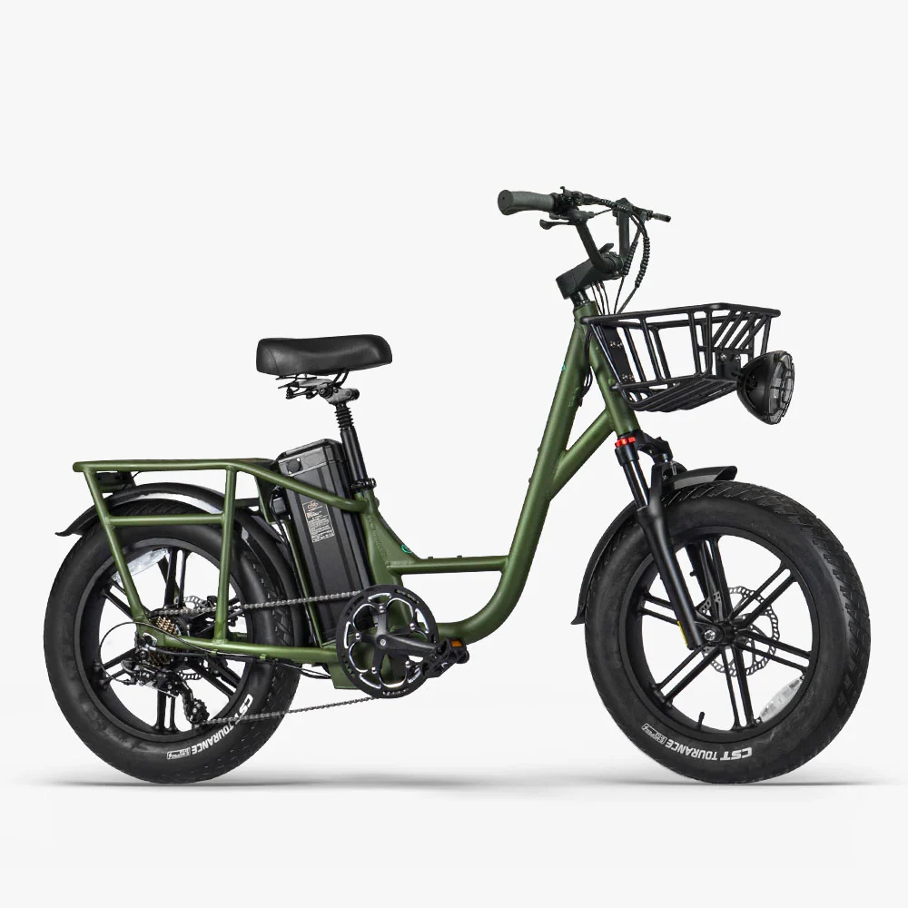 Fiido T1 Pro Vélo électrique Fatbike Cargo fiido.fr