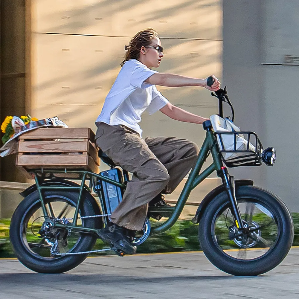 Fiido T1 Pro Vélo électrique Fatbike Cargo fiido.fr