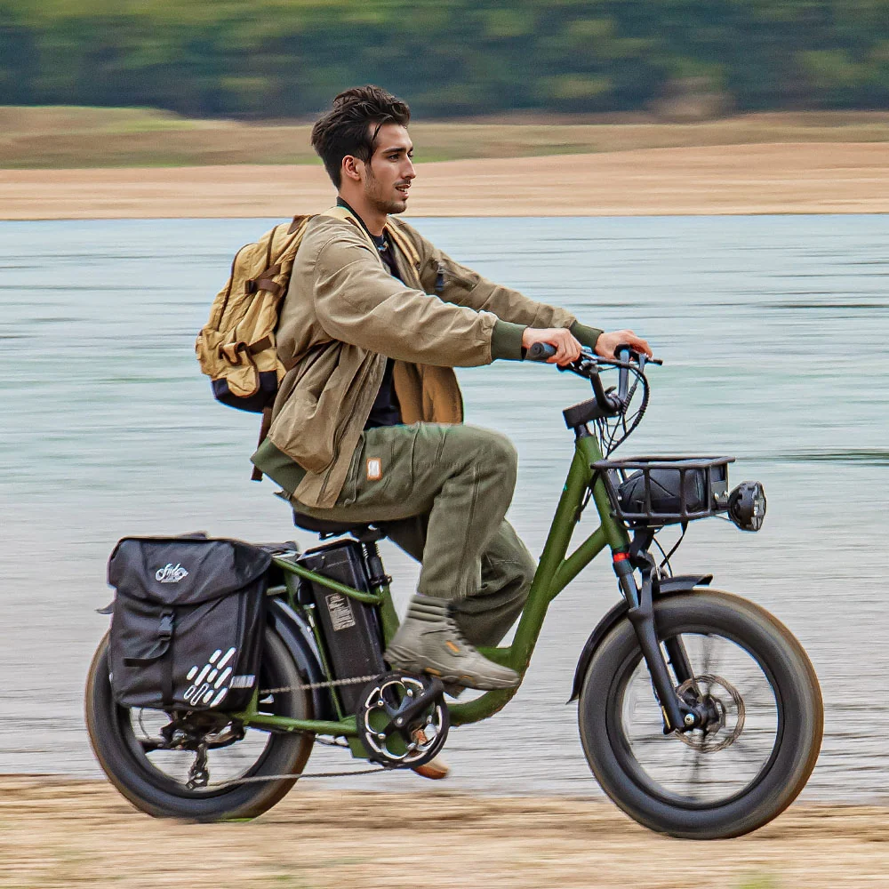 Fiido T1 Pro Vélo électrique Fatbike Cargo fiido.fr