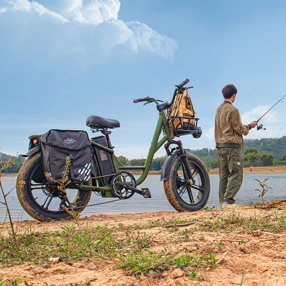 Fiido T1 Pro Vélo électrique Fatbike Cargo fiido.fr