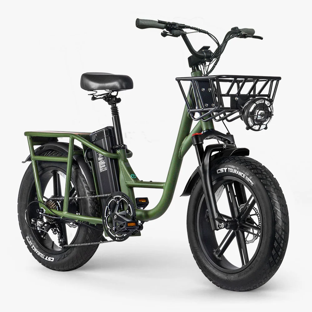 Fiido T1 Pro Vélo électrique Fatbike Cargo fiido.fr