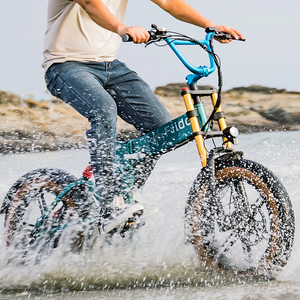 Fiido M1 Pro Vélo électrique Vtt Fatbike Cargo De Gros Pneus fiido.fr