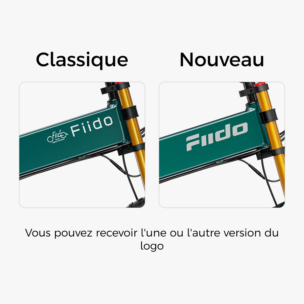 Fiido M1 Pro Vélo électrique Vtt Fatbike Cargo De Gros Pneus fiido.fr