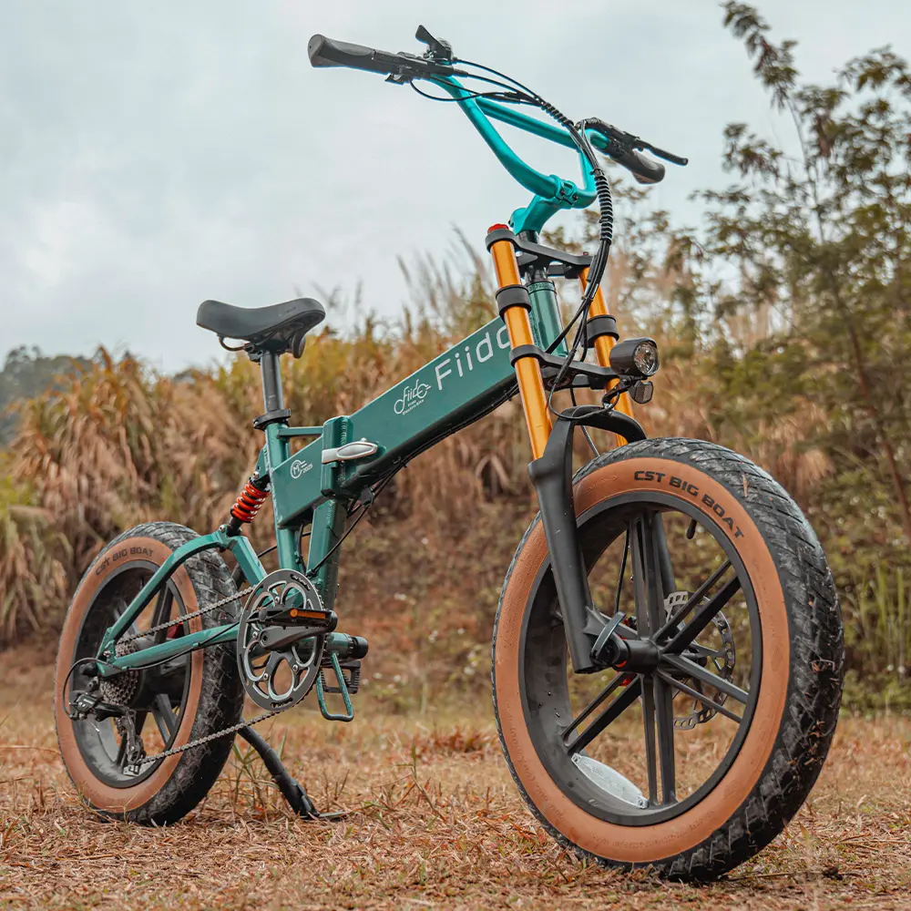 Fiido M1 Pro Vélo électrique Vtt Fatbike Cargo De Gros Pneus fiido.fr