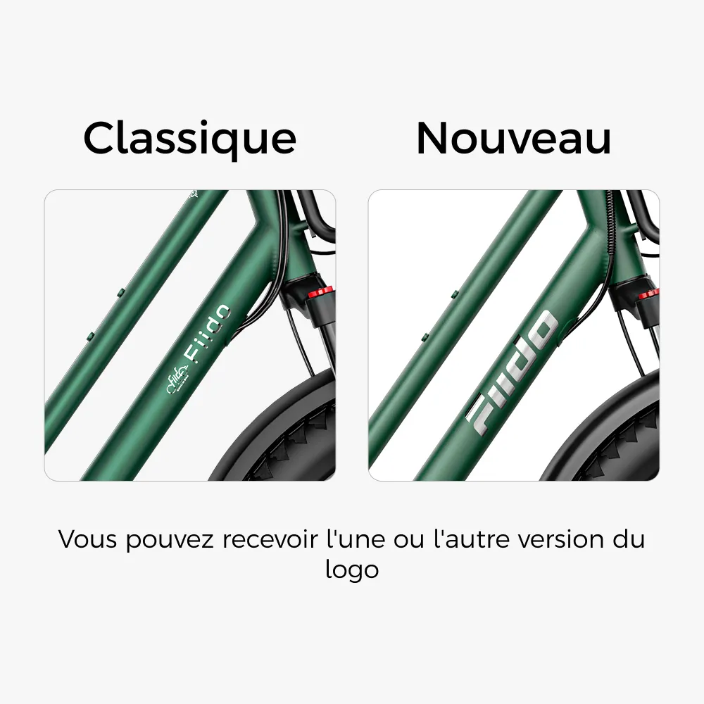 Fiido T2 Vélo électrique Longtail Fatbike Cargo fiido.fr