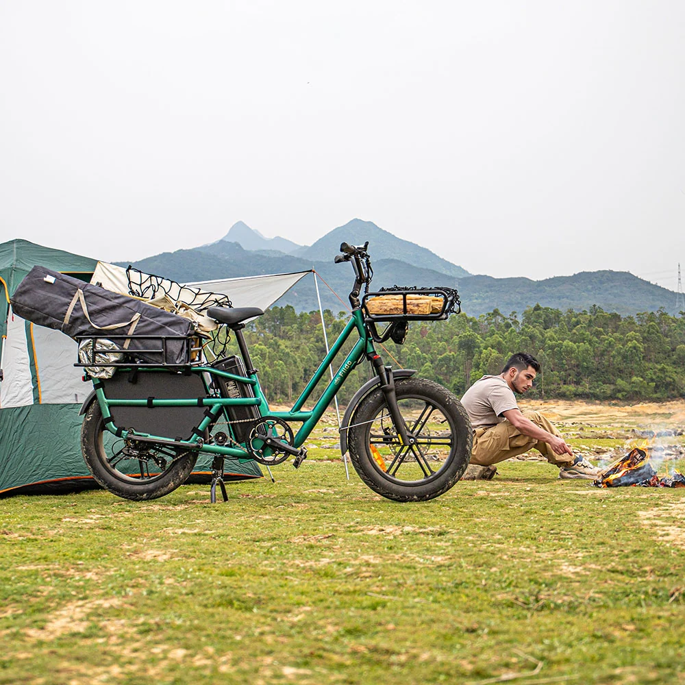 Fiido T2 Vélo électrique Longtail Fatbike Cargo fiido.fr
