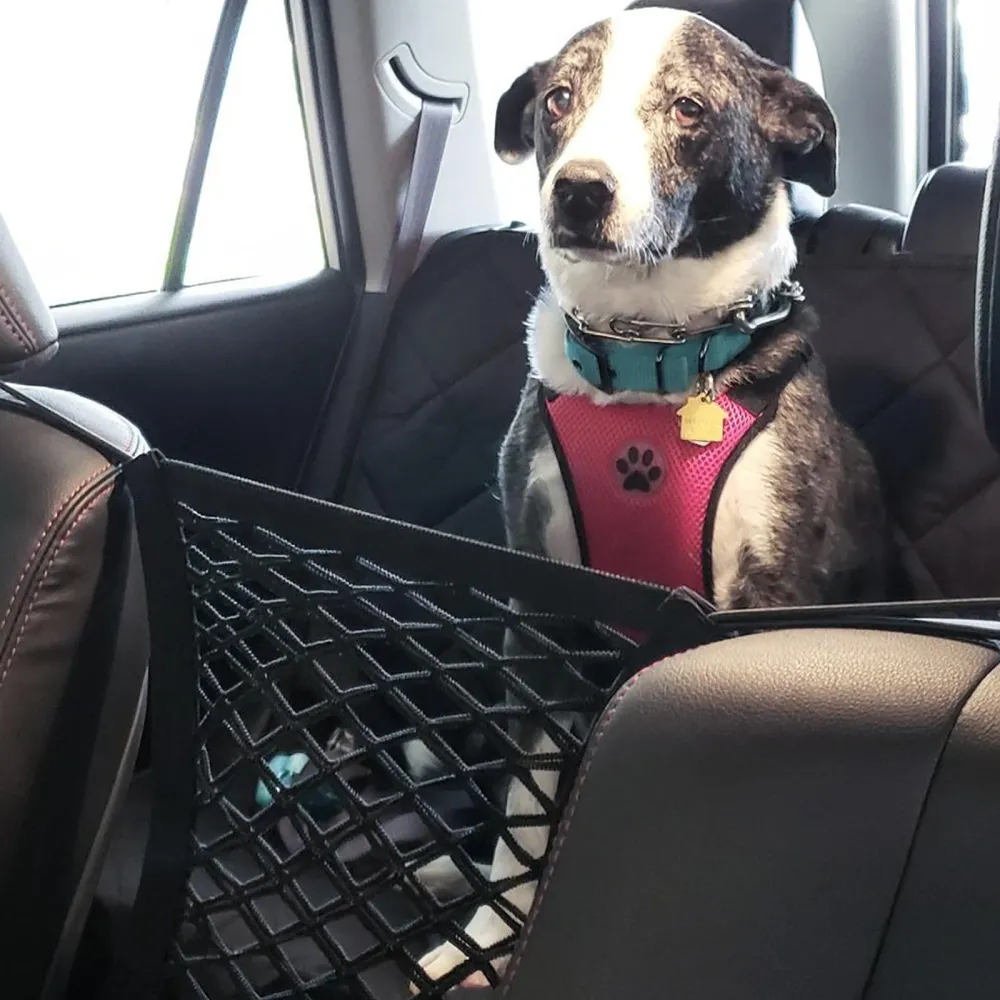 TD® Filet d'isolation pour animaux de compagnie de voiture filet de protection de voiture pour animaux de compagnie haute...