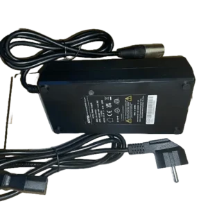 Chargeur Batterie 48V avec Connecteur XLR pour Vélo Électrique Garrett Miller Z, X et CIty