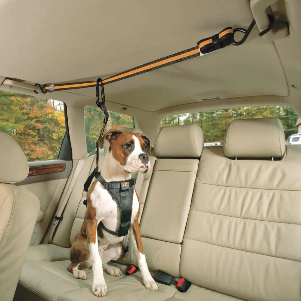 KURGO, Attache en tyrolienne, Pour voiture, Pour chien Gastronome