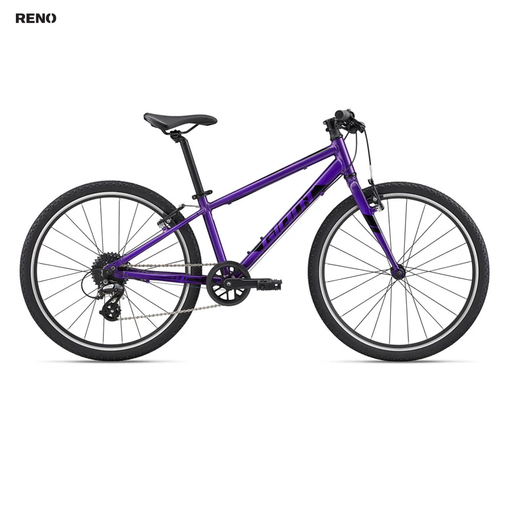 Giant Vélo junior Arx 24