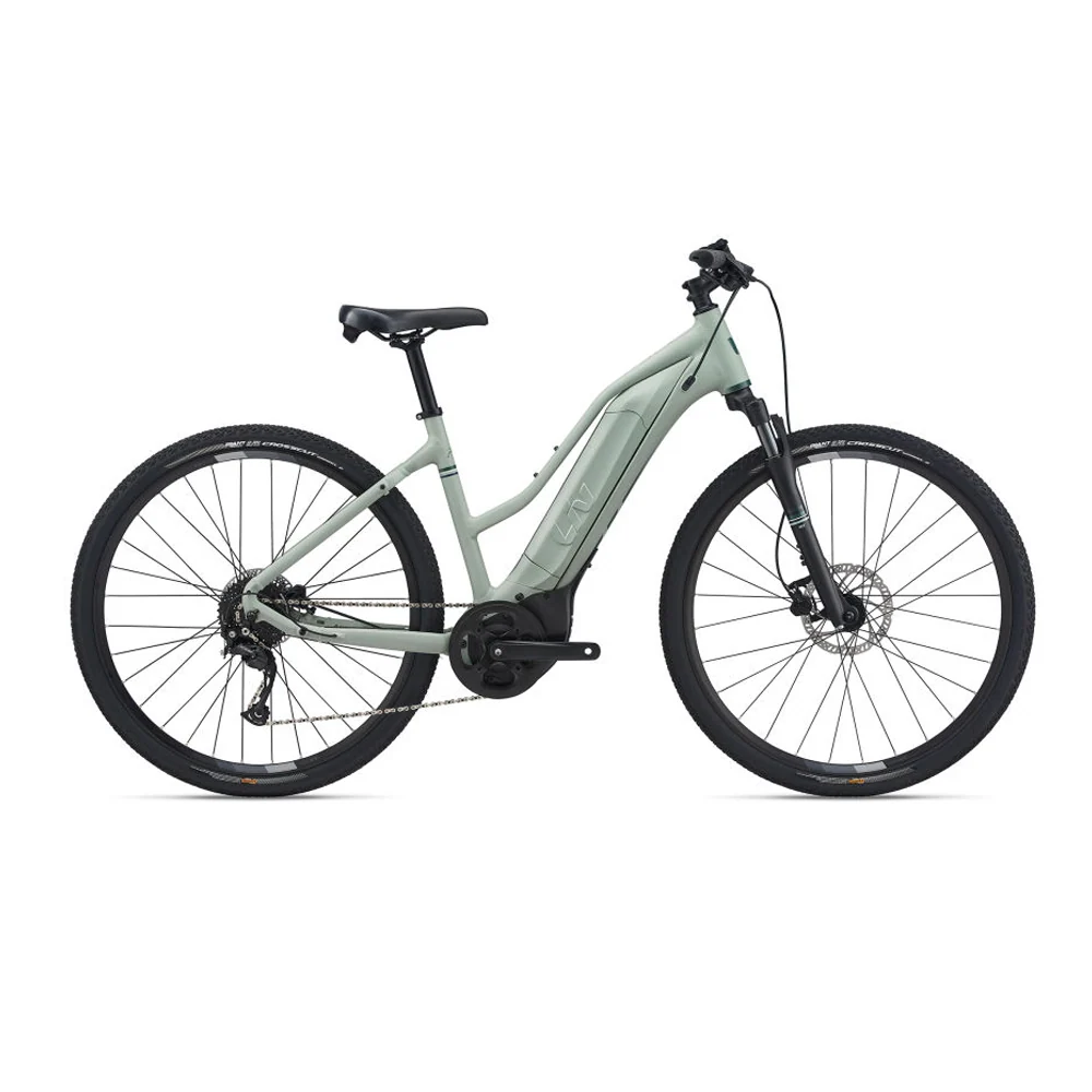 Liv (Giant) Rove E+ 32KM/H