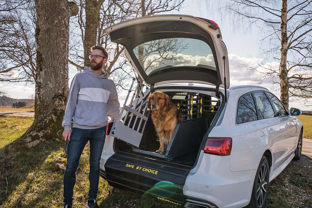 Grille pour voiture pour 1 chien