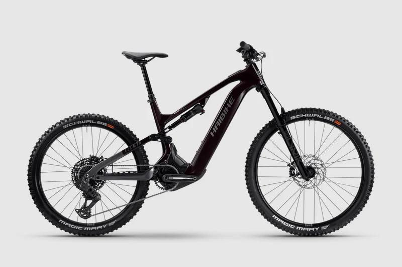 Haibike ALLMTN CF 9 2026