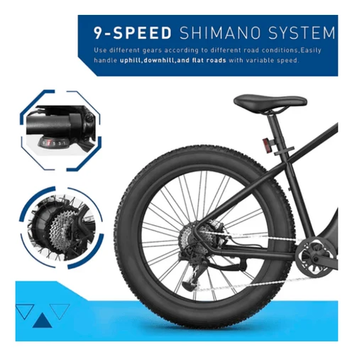 Hiboy P6 - Velo Electrique Fat Tire Urban Country Road 750W 32KM/H Black