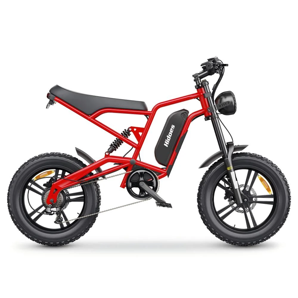Hidoes B6 1200W Fat Bike 20" Vélo électrique 720Wh Batterie 48V 15AH