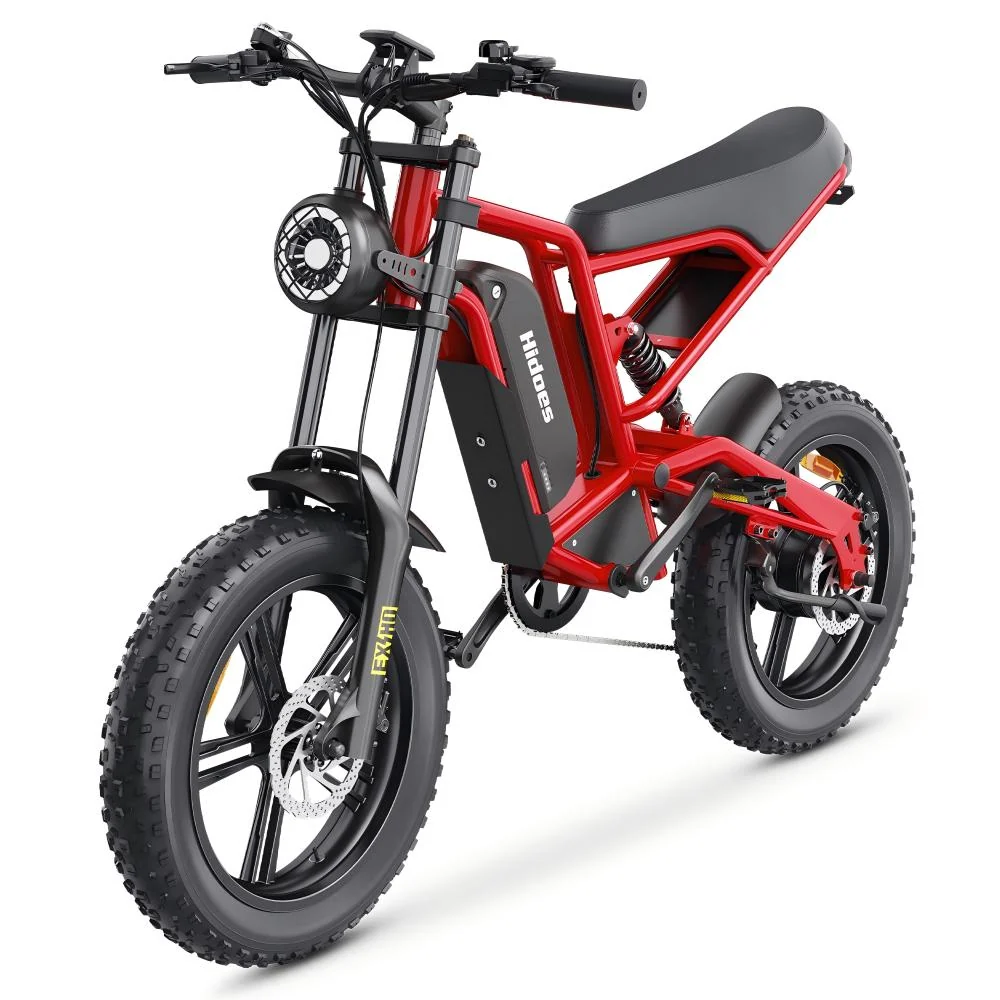 Hidoes B6 1200W Fat Bike 20" Vélo électrique 720Wh Batterie 48V 15AH