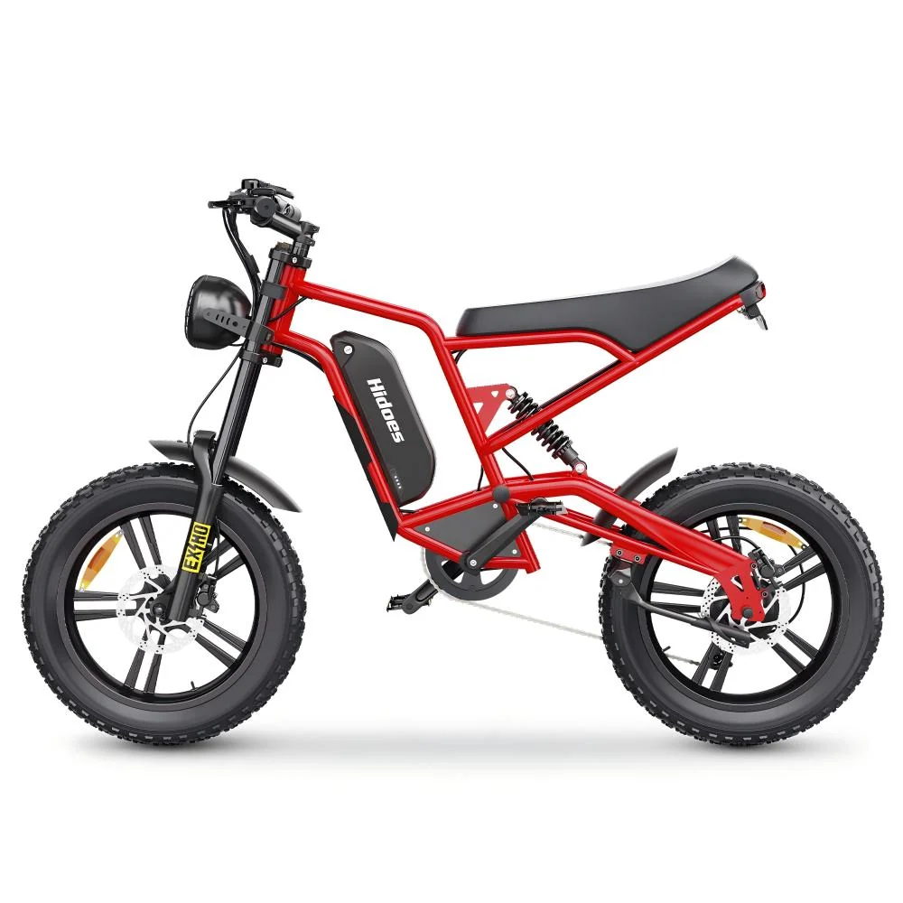Hidoes B6 1200W Fat Bike 20" Vélo électrique 720Wh Batterie 48V 15AH
