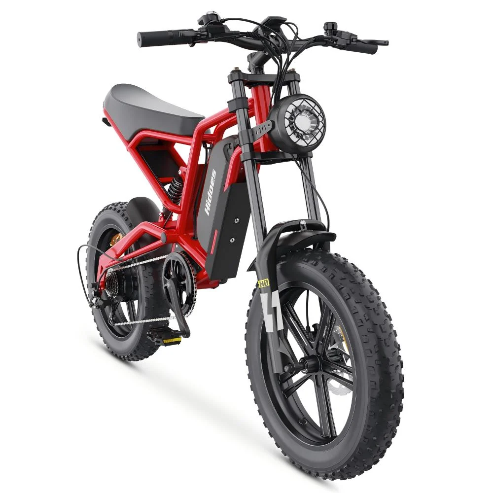 Hidoes B6 1200W Fat Bike 20" Vélo électrique 720Wh Batterie 48V 15AH
