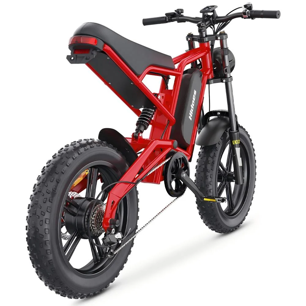 Hidoes B6 1200W Fat Bike 20" Vélo électrique 720Wh Batterie 48V 15AH